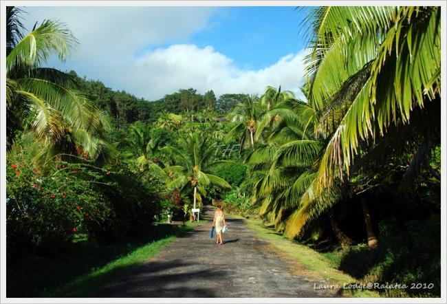 Raiatea007.JPG